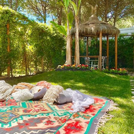 Beach Garden Paradise Durrës Eksteriør billede