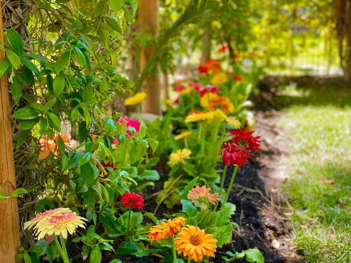 Beach Garden Paradise Durrës Eksteriør billede
